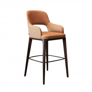 Baxiar Bar Stool